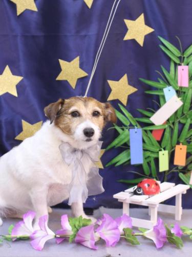 20230711こはるちゃん